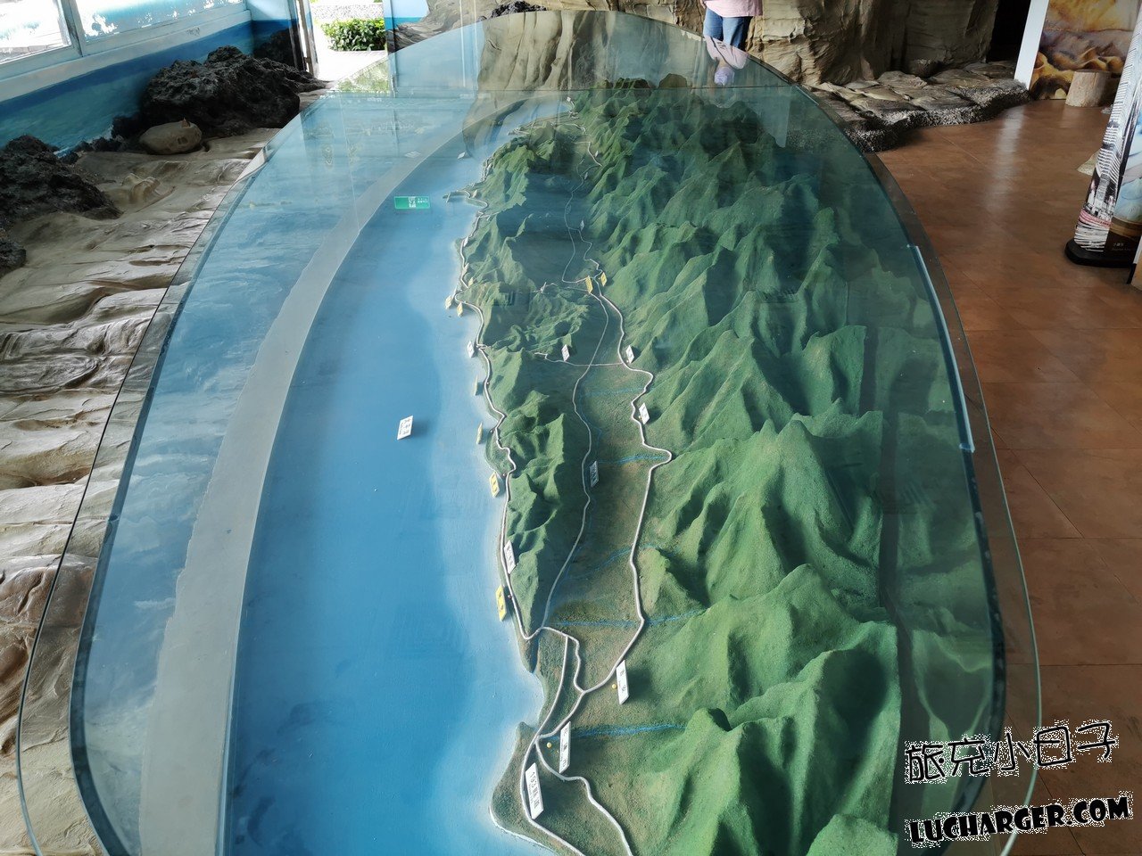 小野柳海岸岩石紋理近景