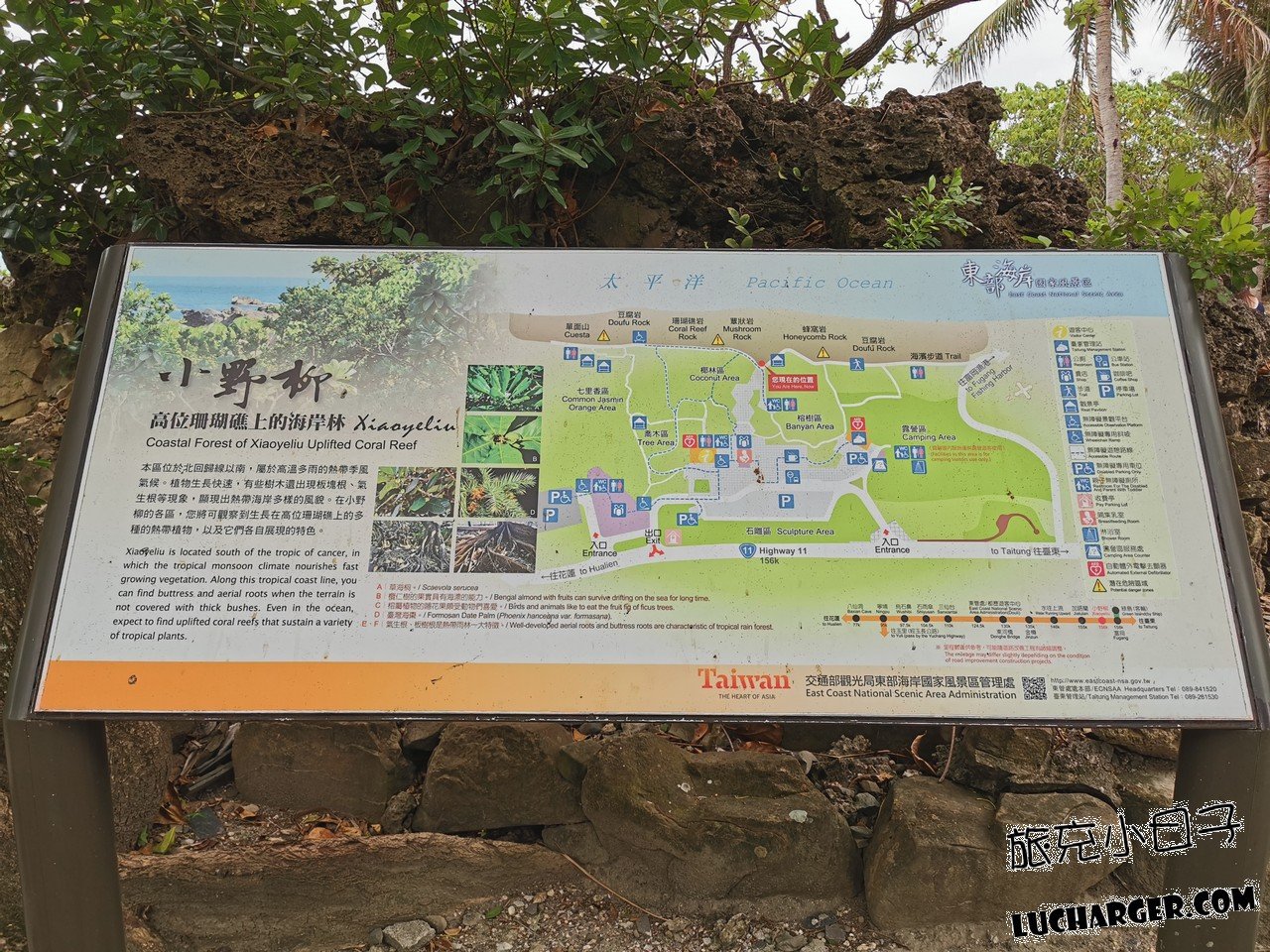 小野柳海岸岩石群與拍照視角