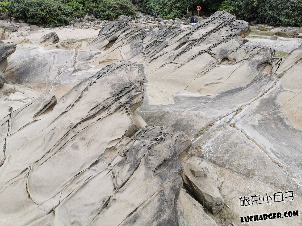 小野柳奇岩海岸與遠方海景