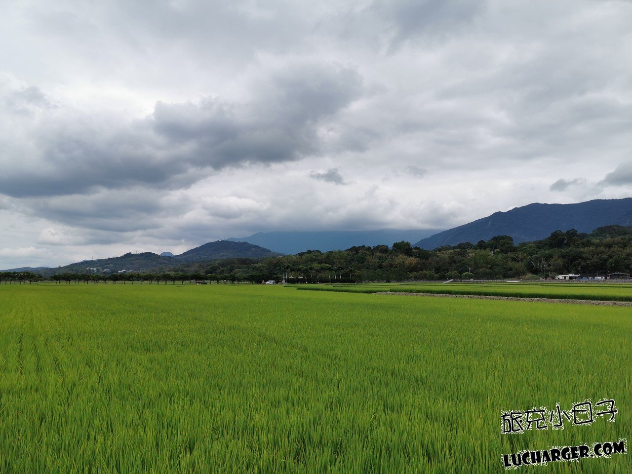 池上大坡池附近稻田、山景與雲層景色
