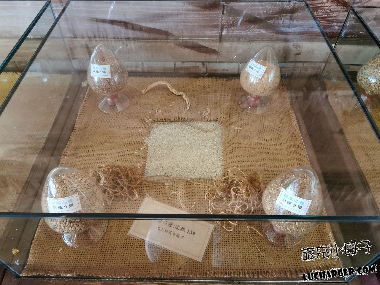 池上飯包文化故事館米品種展示