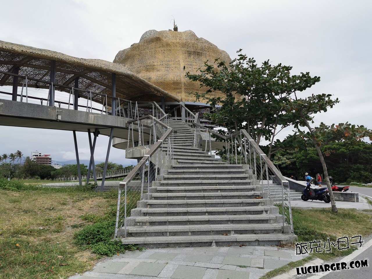 台東海濱公園國際地標向陽樹白天景觀