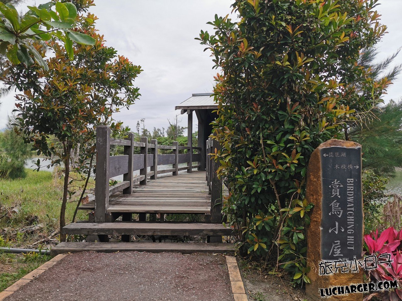 臺東森林公園湖畔與步道景觀