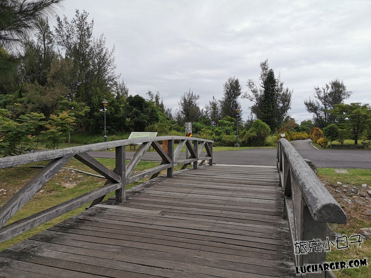 臺東森林公園黑森林林蔭景觀