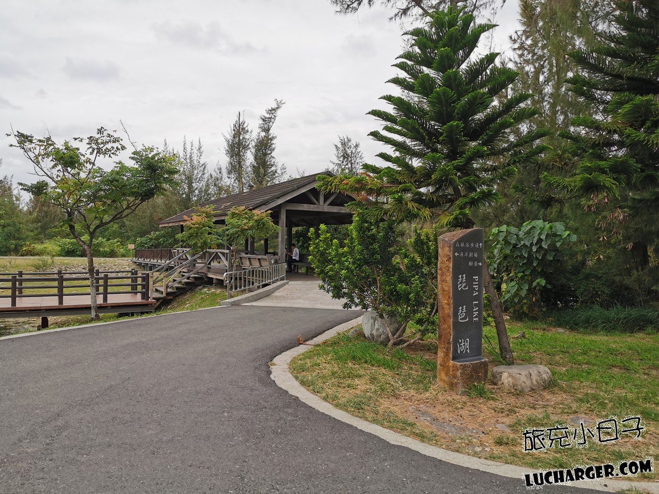 臺東森林公園湖區與濕地周邊景觀