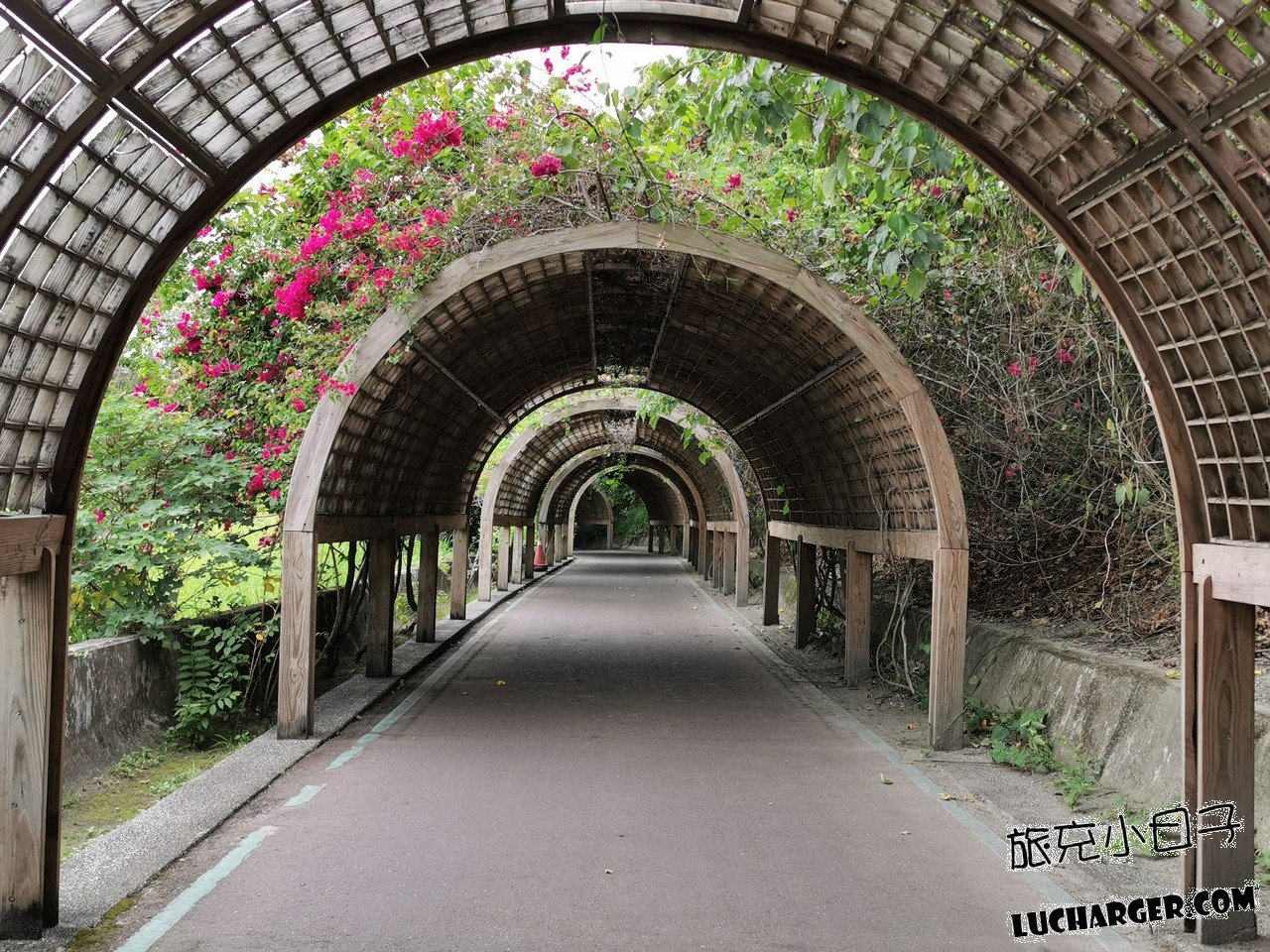 臺東森林公園湖畔步道與自然景觀
