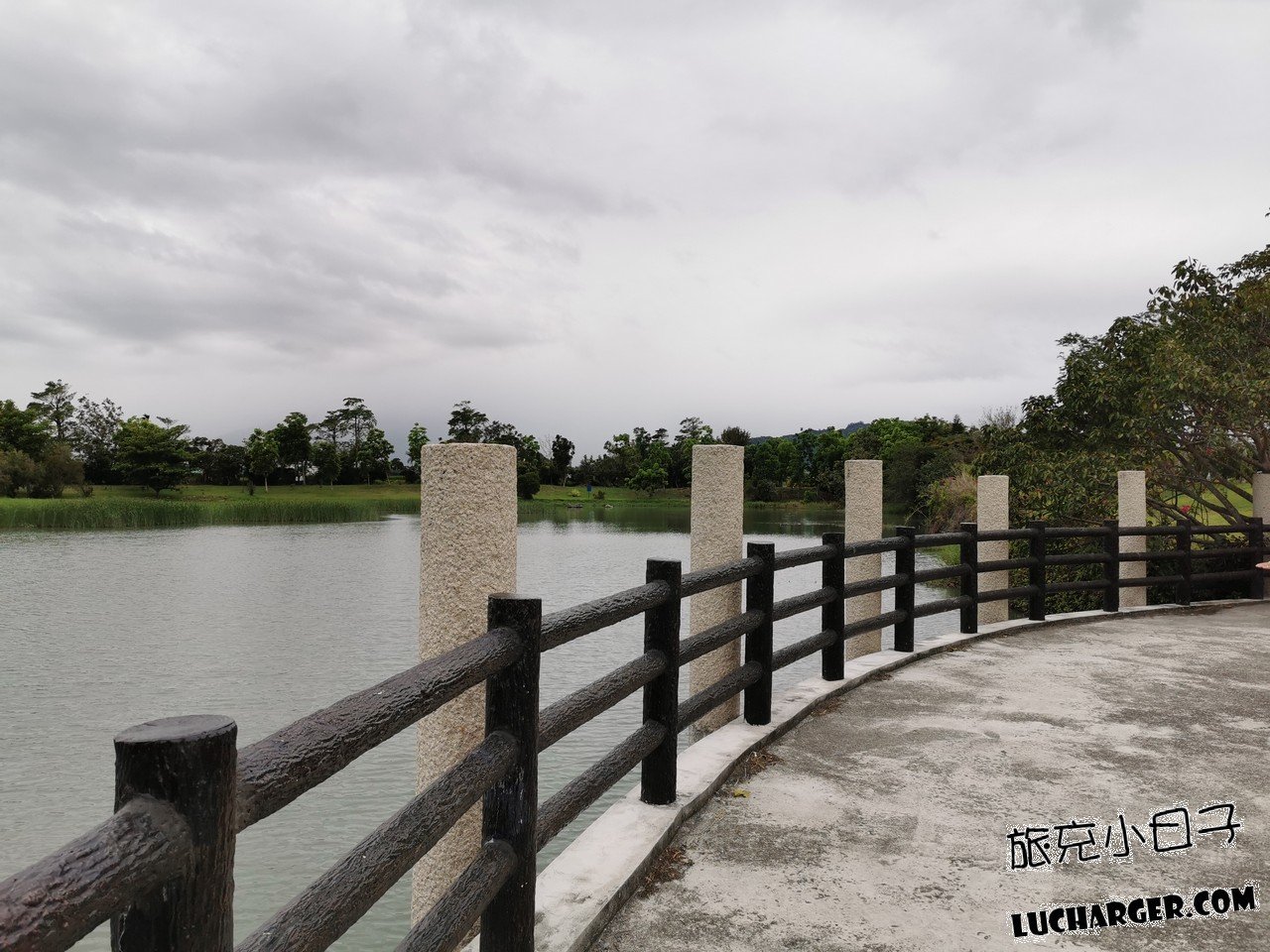 臺東森林公園園區散步路線景觀