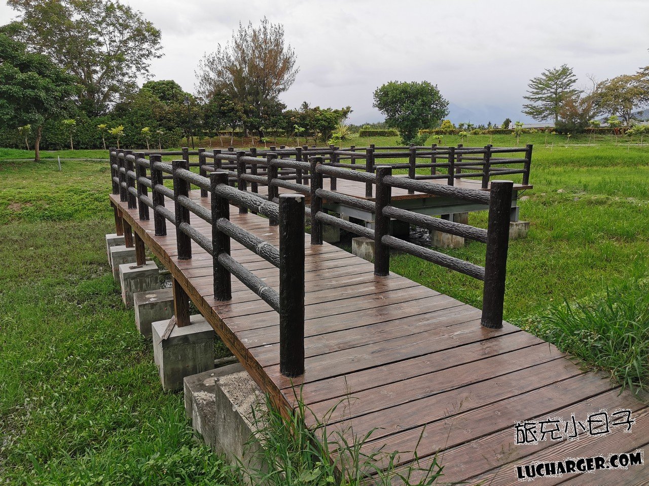 臺東森林公園湖邊與林蔭交錯景色