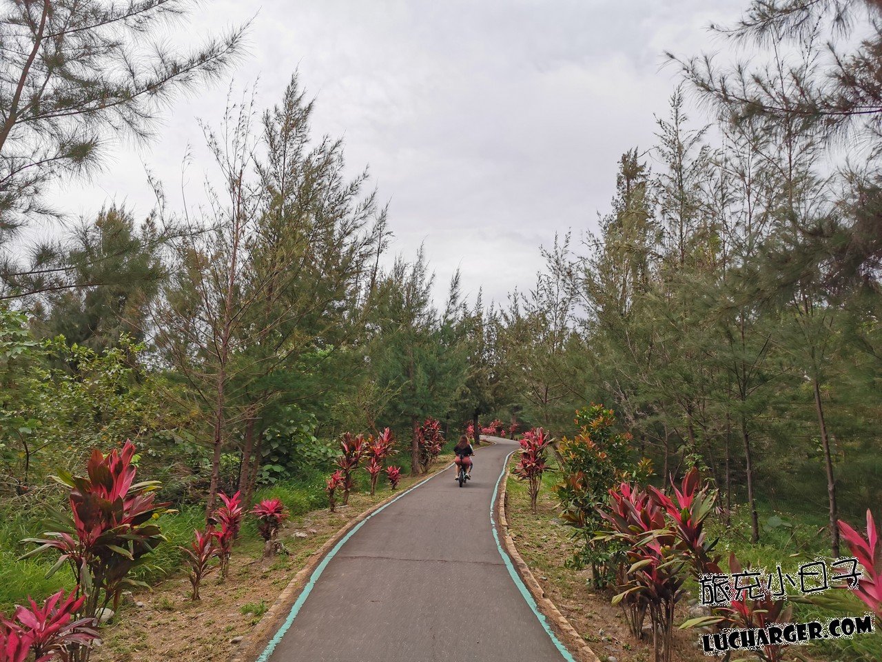 臺東森林公園遊園結束前的自然景色