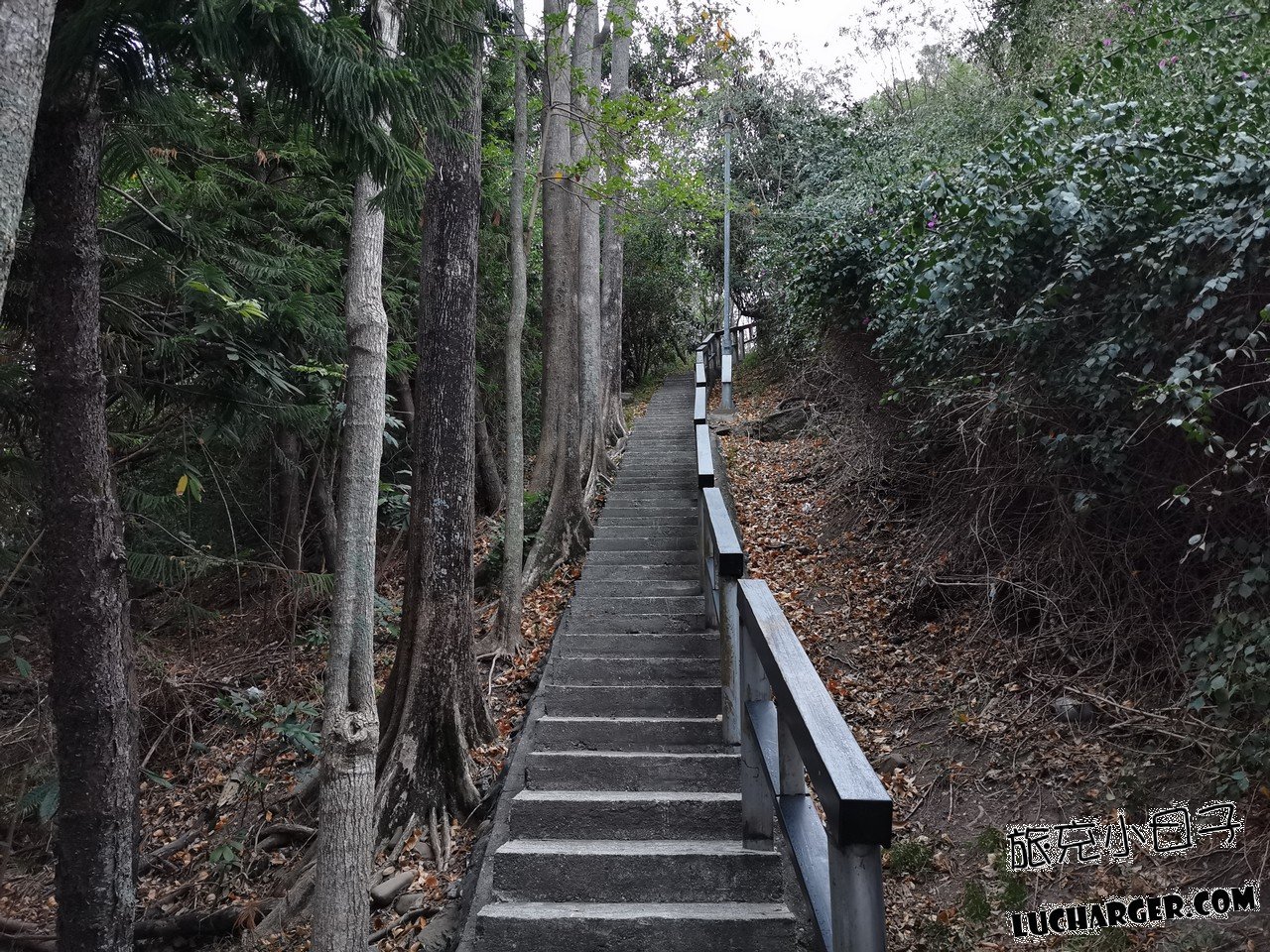 鯉魚山公園現場步道入口景觀
