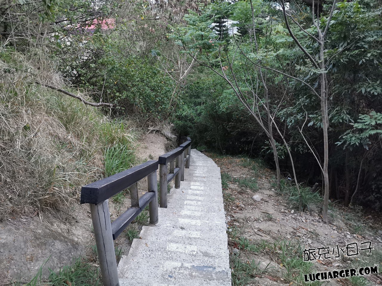 鯉魚山公園內部樹蔭與步行空間
