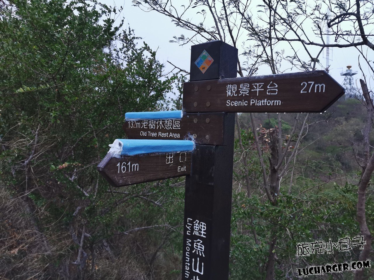 鯉魚山公園現場綠地與休閒空間