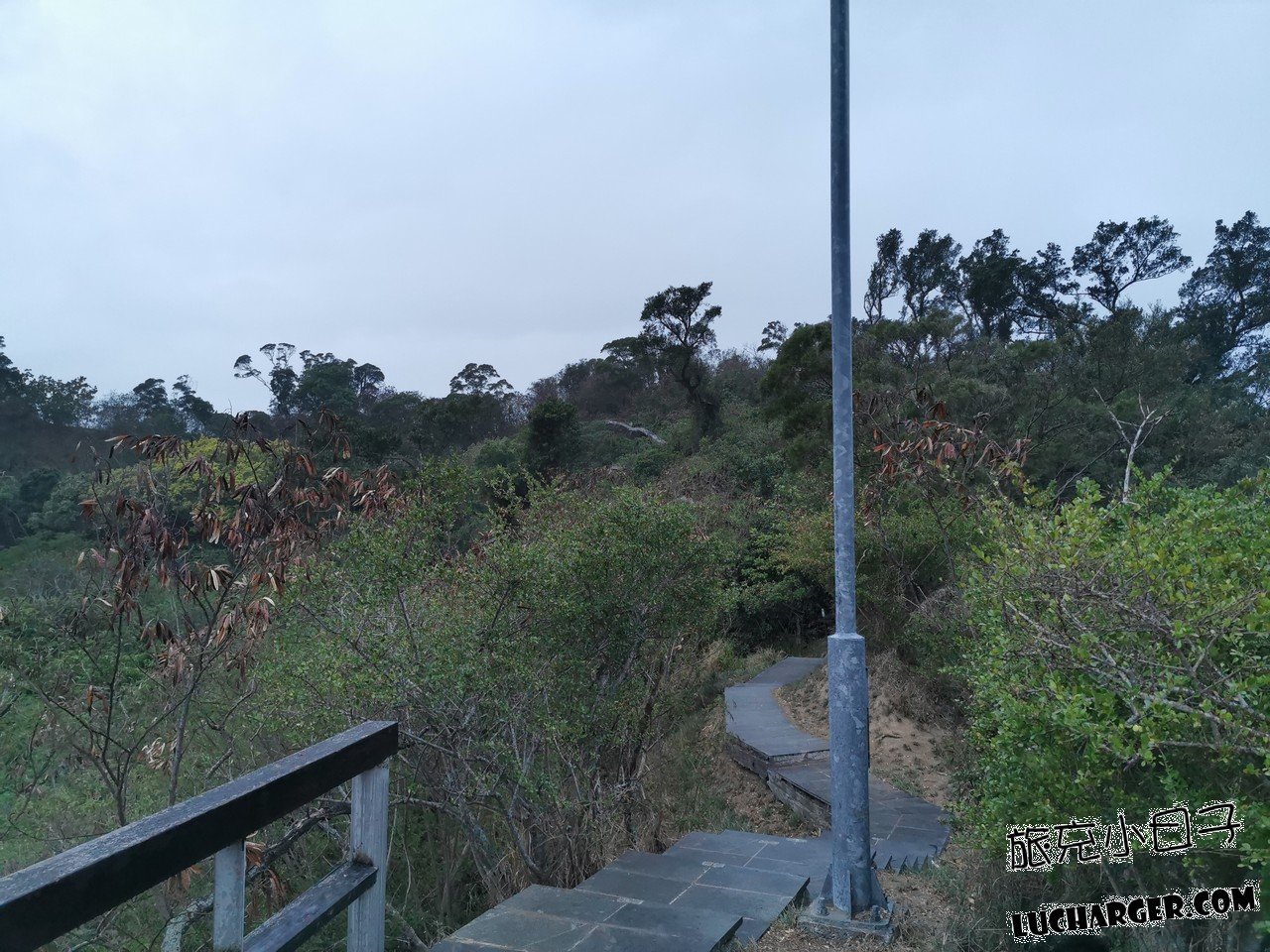 鯉魚山公園步道旁自然景觀
