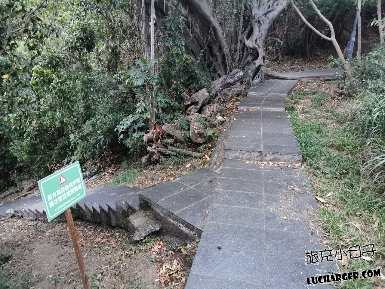 鯉魚山公園綠蔭散步環境