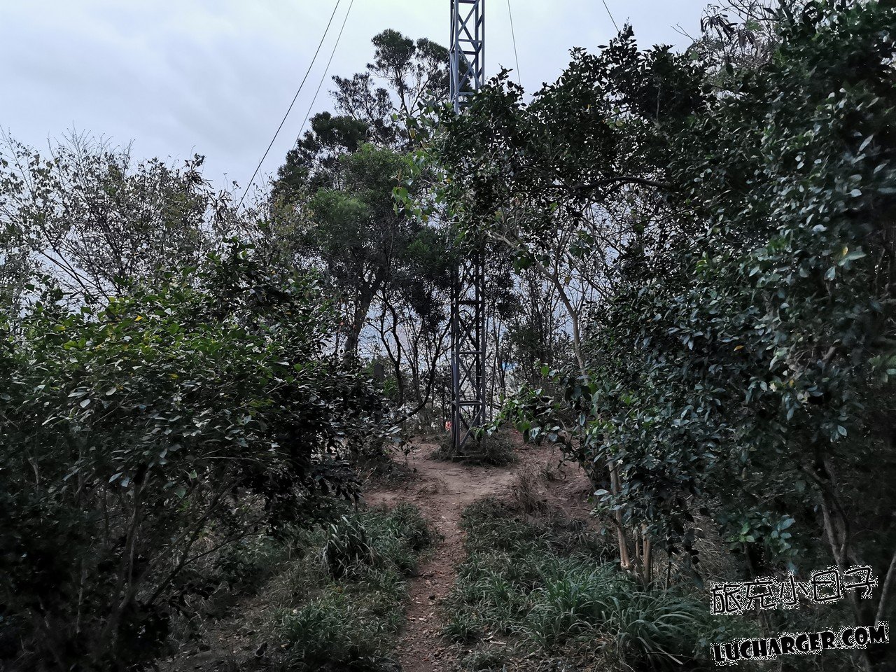 鯉魚山公園戶外綠地與步行路線