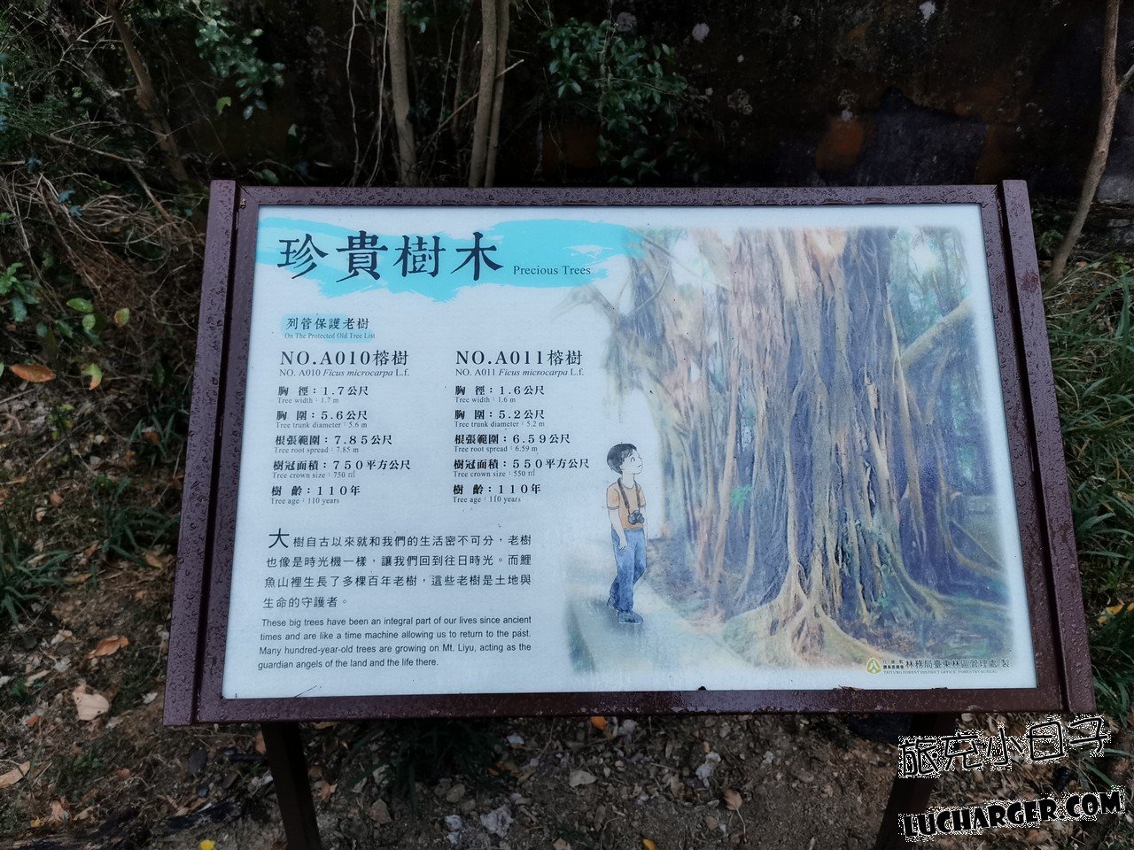 鯉魚山公園雨天備案可短暫停留的戶外環境