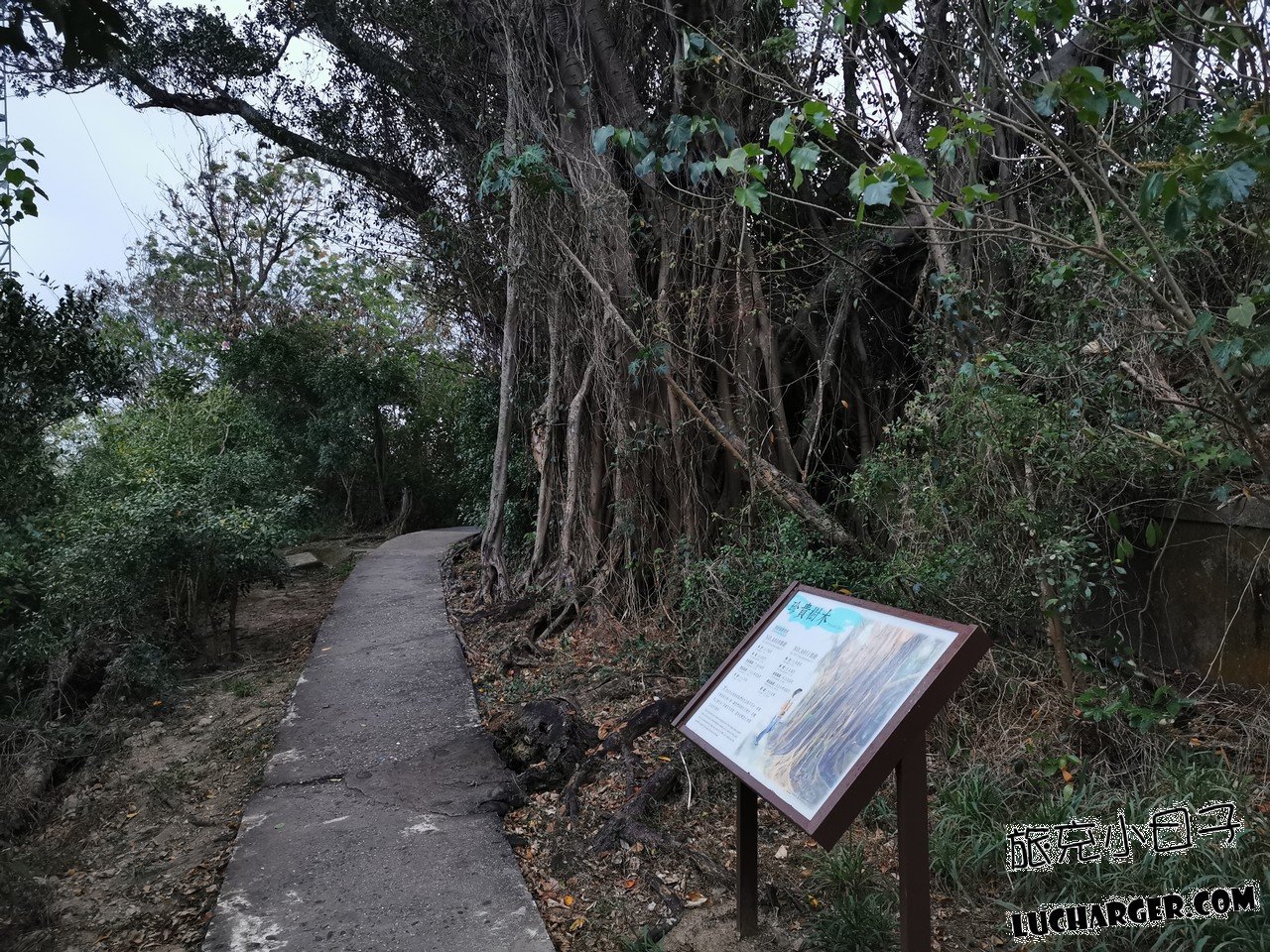 鯉魚山公園現場坡道與散步環境