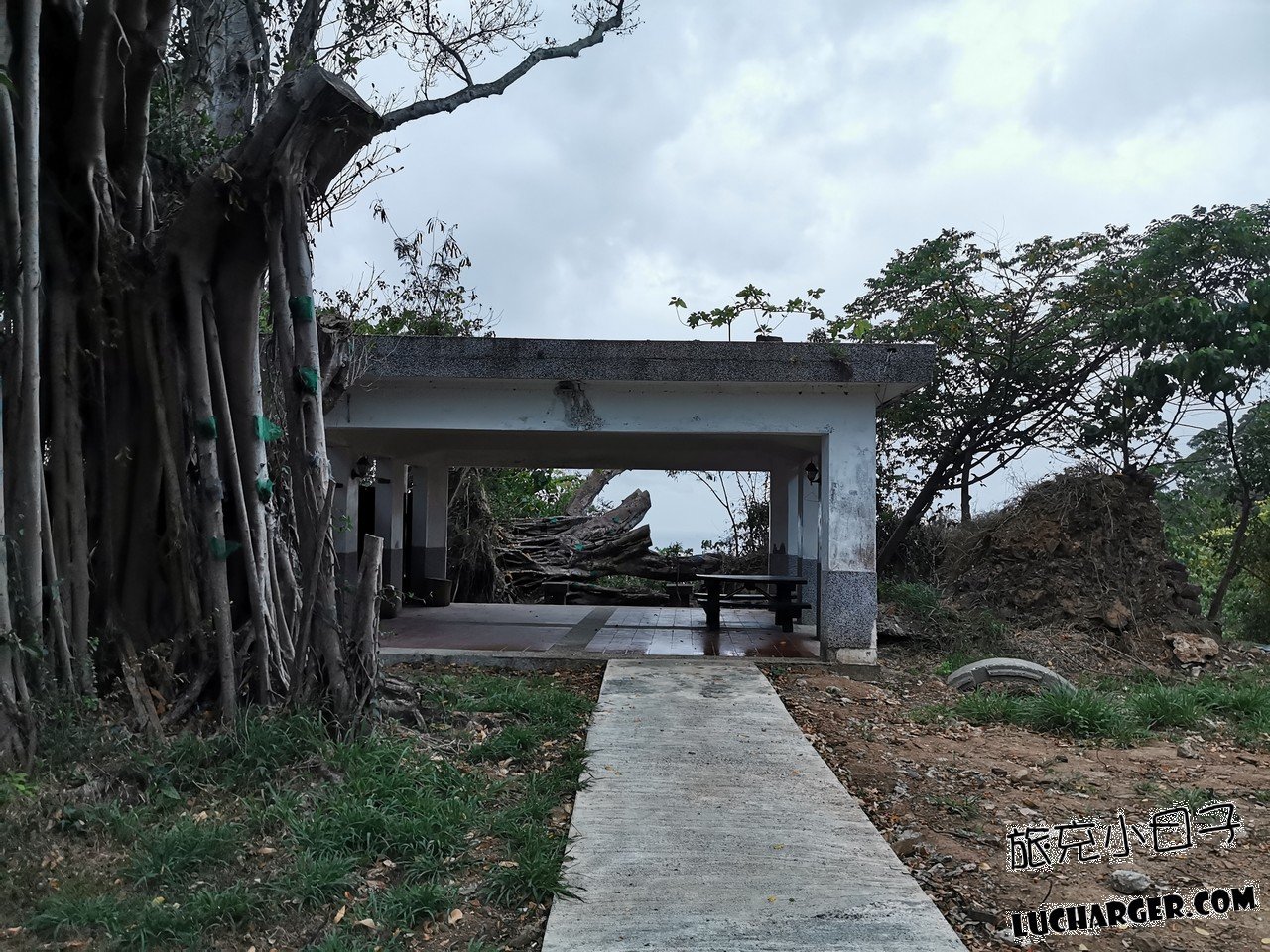 鯉魚山公園步道旁植物與休閒景觀