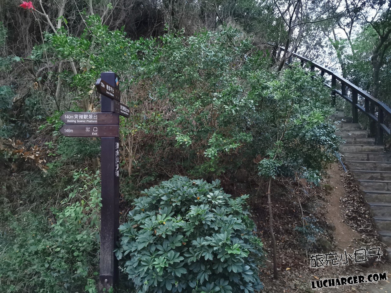 鯉魚山公園自然景觀與戶外步道
