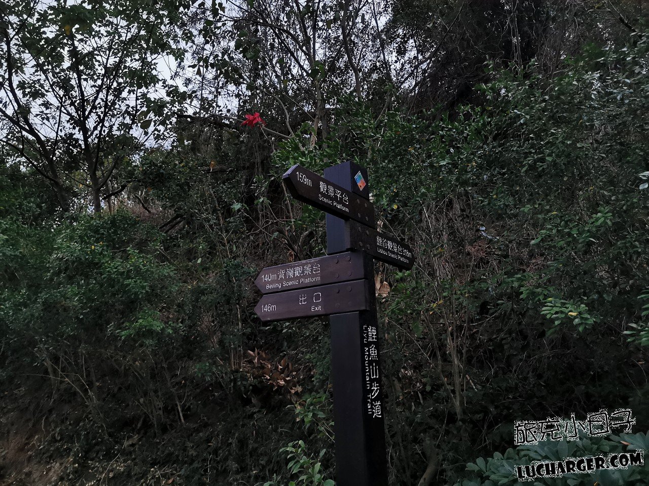 鯉魚山公園公園內綠色植栽與步道