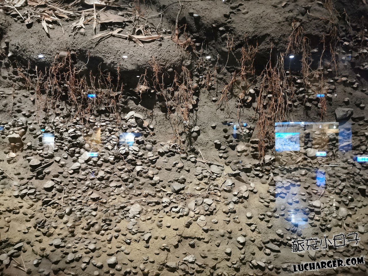 國立臺灣史前文化博物館土層與考古現場展示