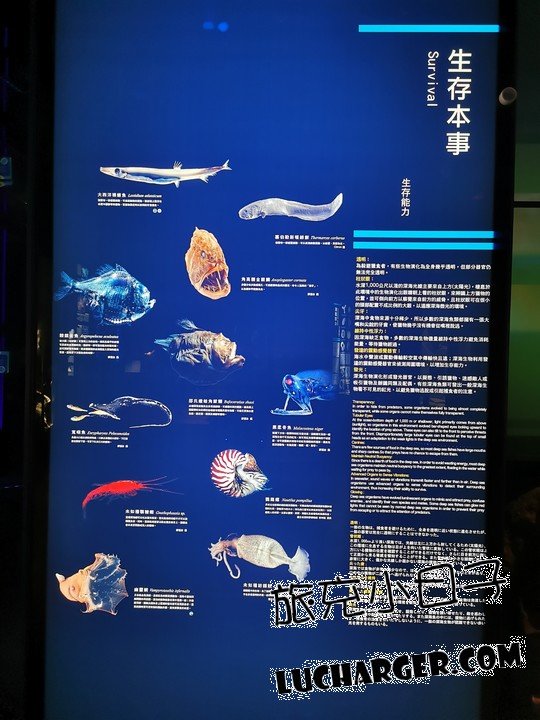 國立海洋科技博物館生存本事海洋生物展示
