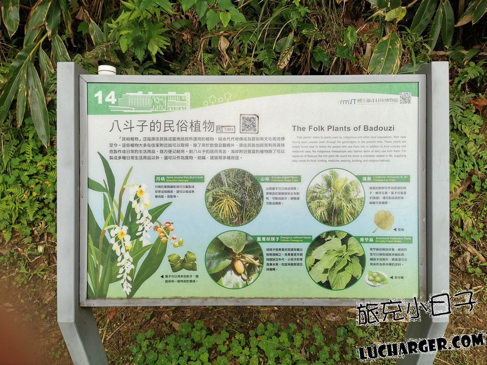 八斗子民俗植物月桃山棕蒲葵介紹牌