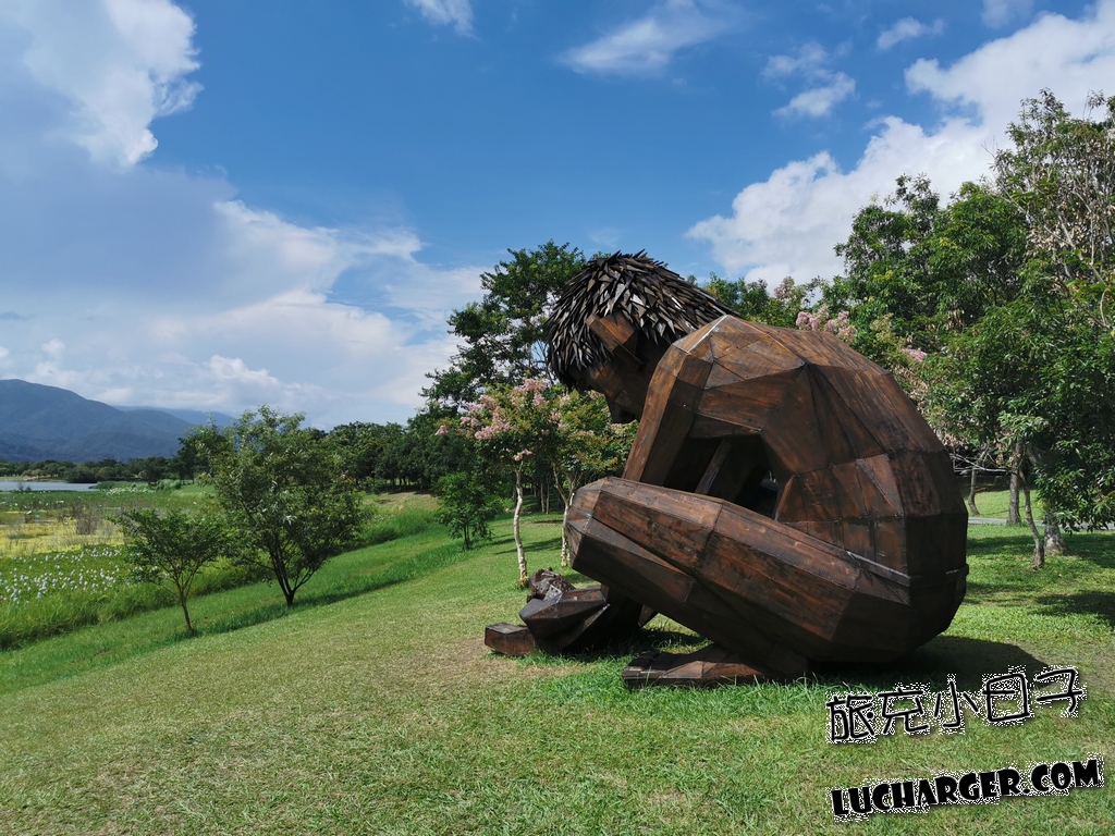 池上大坡池大地藝術作品等待 Waiting 側面