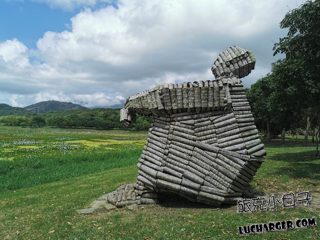 等待 Waiting 木作巨人側面與大坡池水生植物
