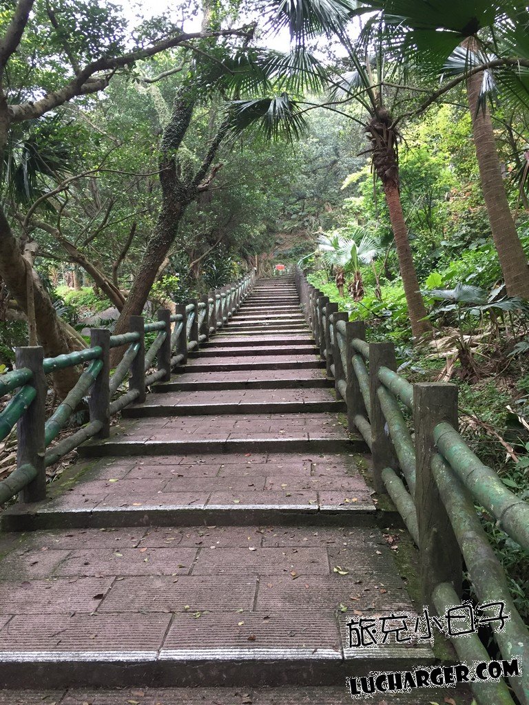 獅球嶺砲臺步道與山丘林蔭景觀