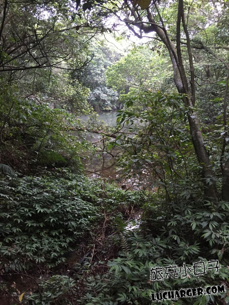 情人湖公園步道停留時間與湖畔散步路線